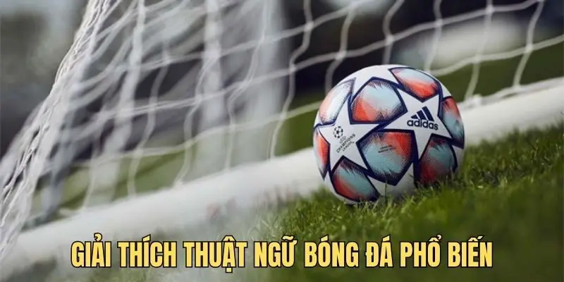 Top các thuật ngữ bóng đá quan trọng bạn nên biết