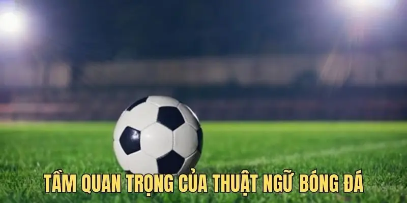 Giới thiệu top 7 thuật ngữ bóng đá quan trọng