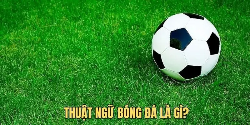 Thuật ngữ trong bóng đá là gì?