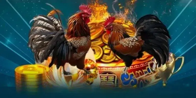 Trực tiếp đá gà V9bet thu hút đông đảo người chơi